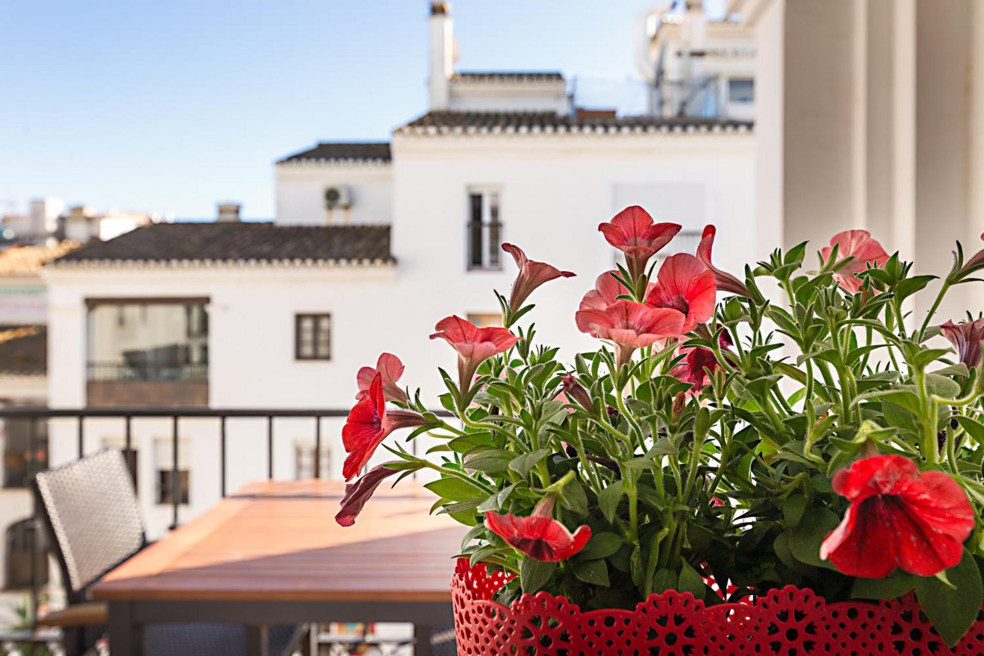Duquesa Port Studio Apartment - Bright Sunlit Terrace مانيلفا المظهر الخارجي الصورة